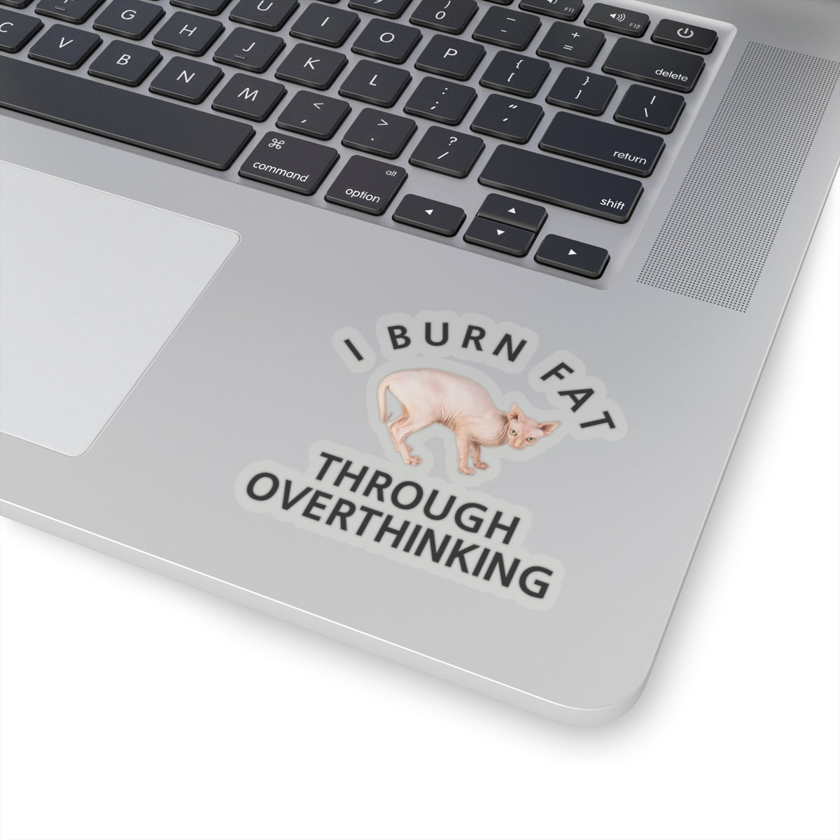 I Burn Fat Through Overthinking Kiss-Cut Stickers