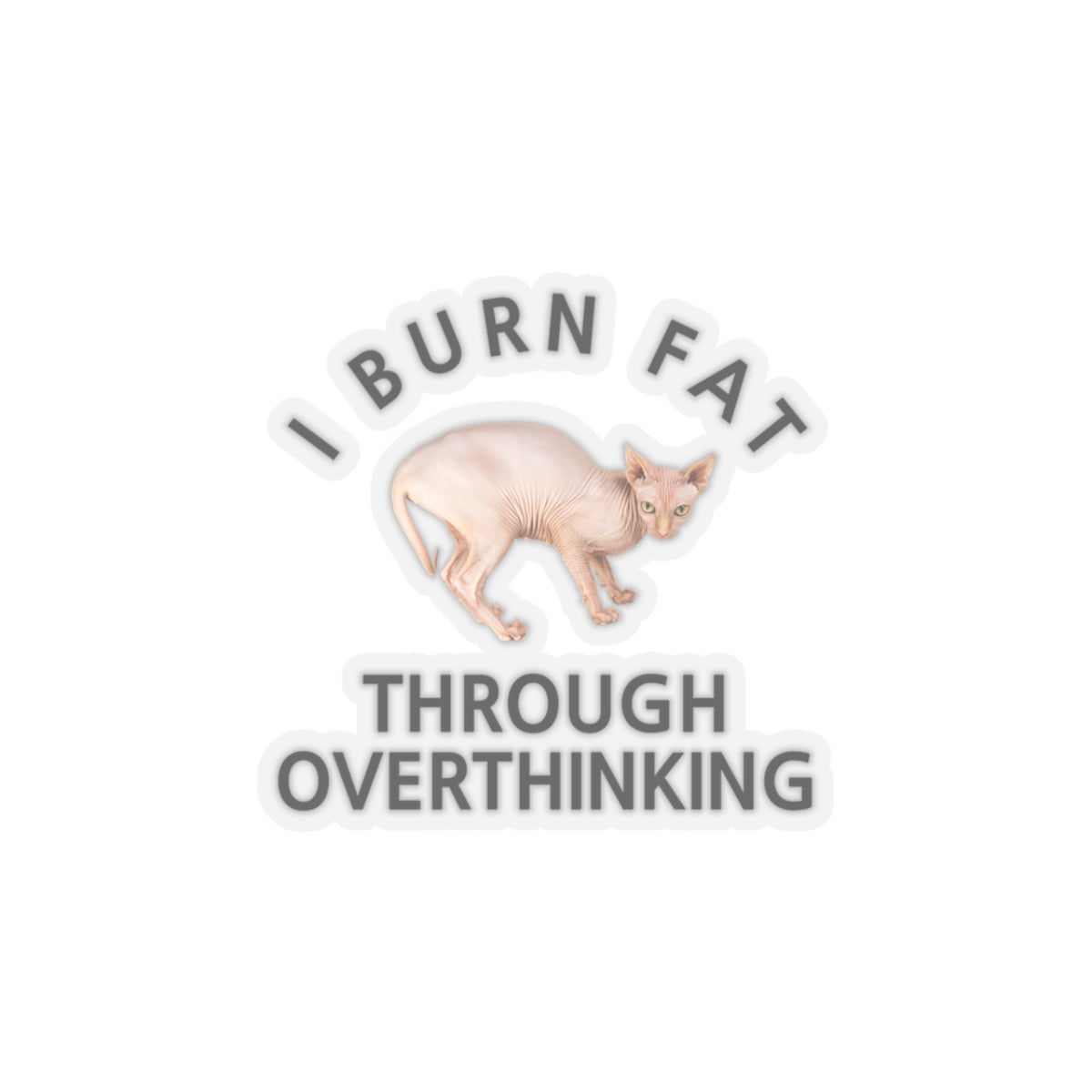 I Burn Fat Through Overthinking Kiss-Cut Stickers