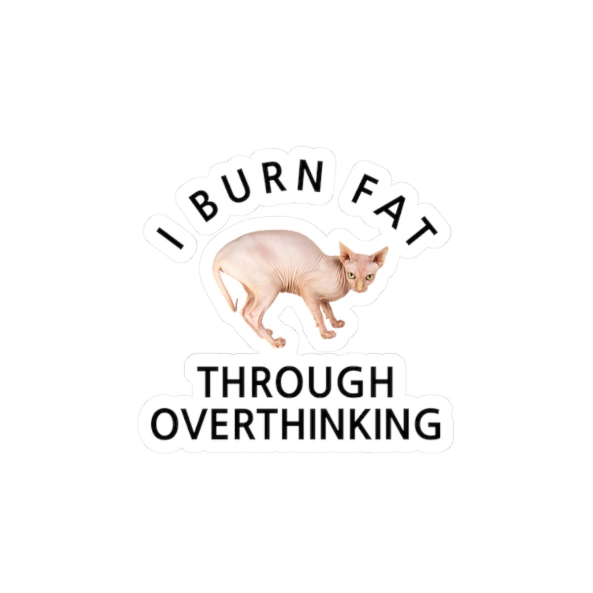 I Burn Fat Through Overthinking Kiss-Cut Stickers