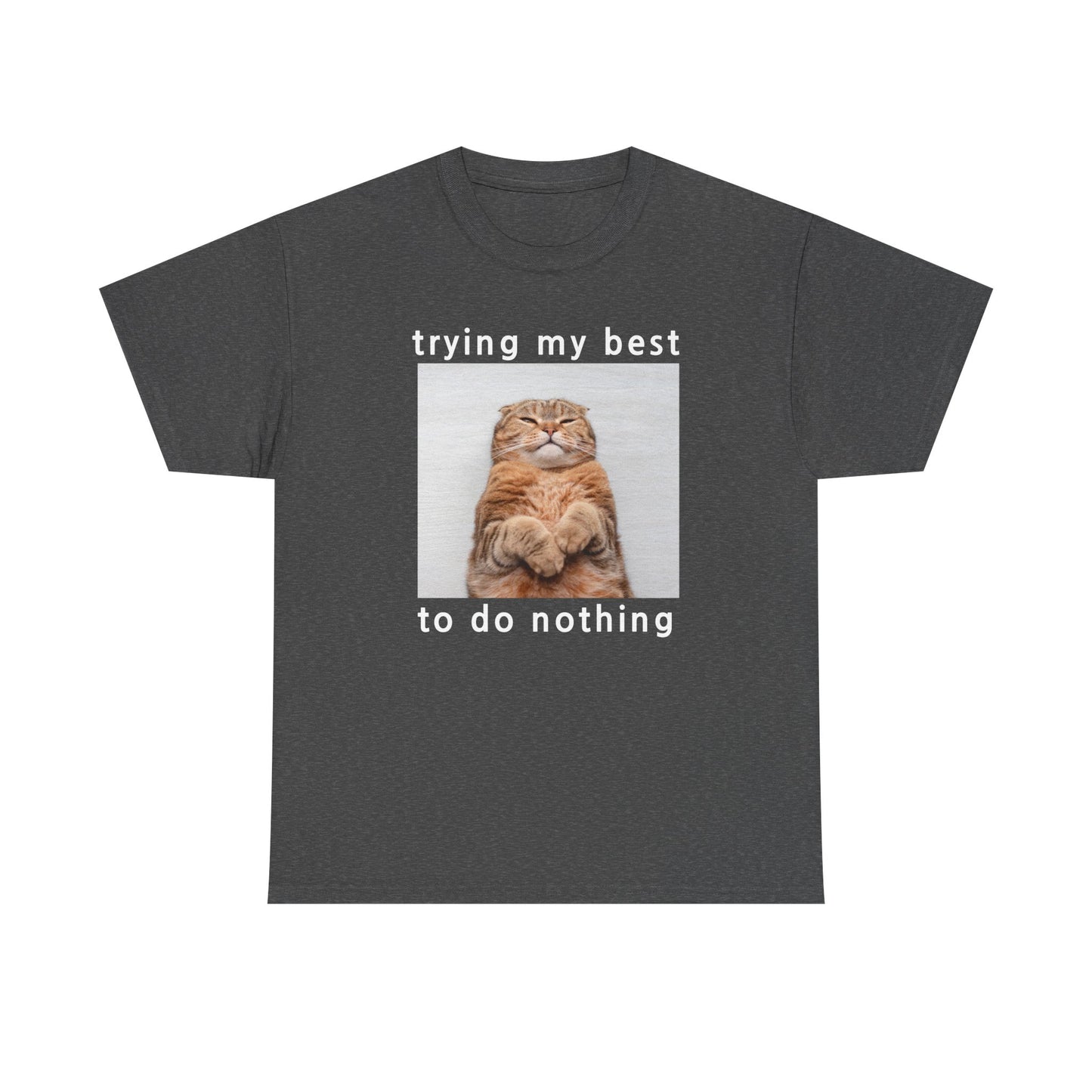 Trying My Best to Do Nothing T-shirt