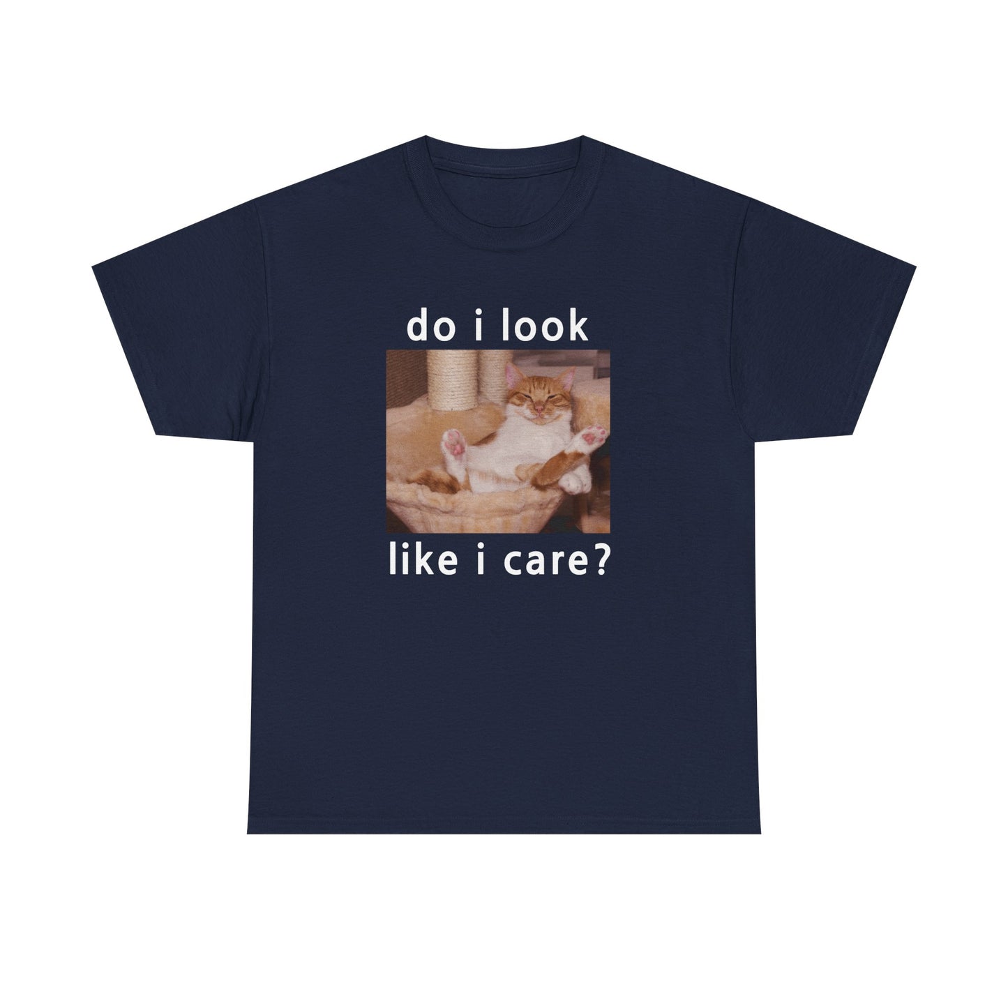 Do I Look Like I Care? T-shirt